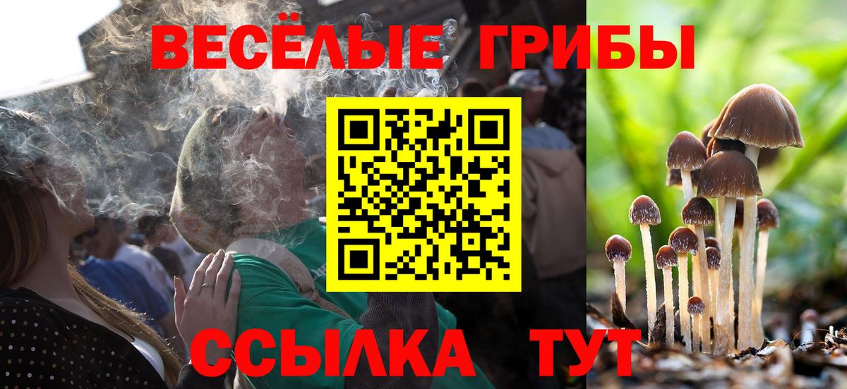 Псилоцибиновые грибы прущие грибы Будённовск